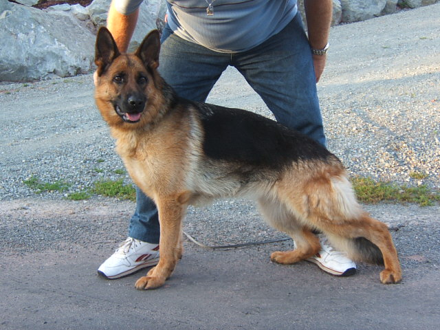 Utesse des vergers de la combe