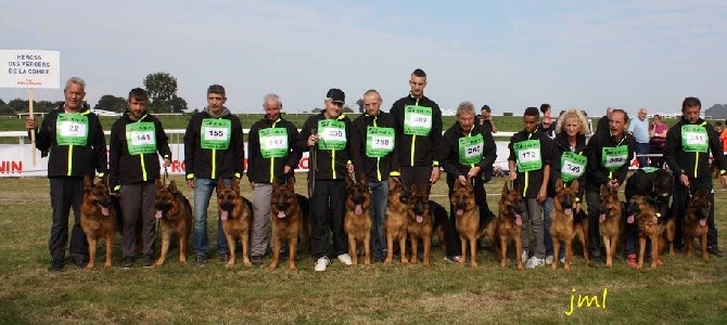 NATIONALE D'ELEVAGE 2015 à PONTIVY